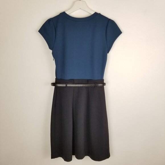 THEORY‎ Dress Size 4 Knee length Sheath Belted - Picture 2 of 11
